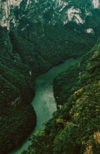 DISCOVER THE AMAZON